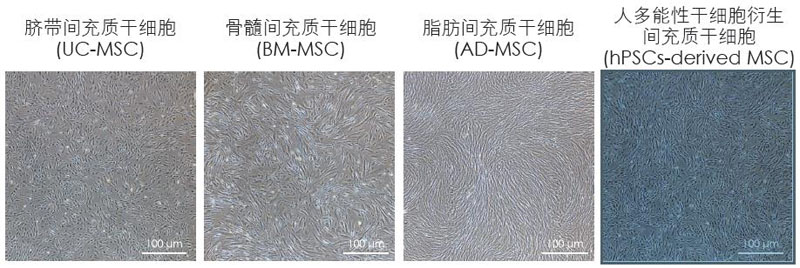 【逛展會(huì)零距離】“渝”您共赴中國(guó)細(xì)胞生物學(xué)學(xué)會(huì)2021年全國(guó)學(xué)術(shù)大會(huì)