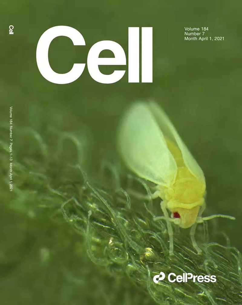 全式金產(chǎn)品再登《Cell》雜志