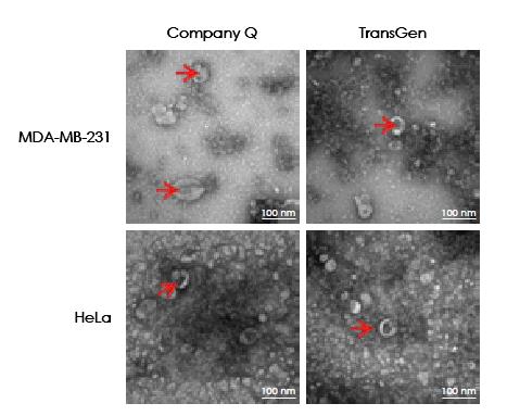 【逛展會(huì)零距離】“渝”您共赴中國(guó)細(xì)胞生物學(xué)學(xué)會(huì)2021年全國(guó)學(xué)術(shù)大會(huì)