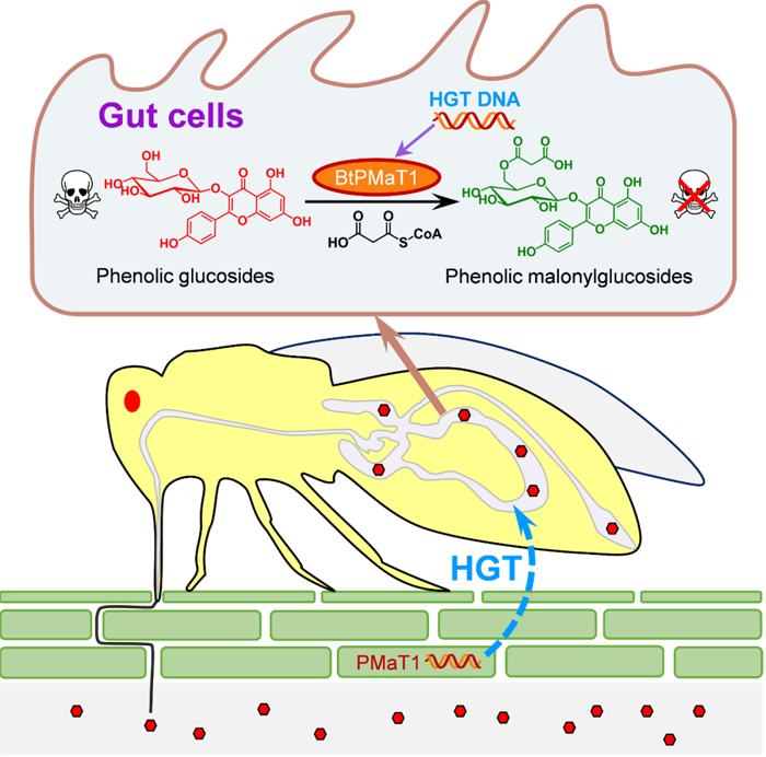 全式金產(chǎn)品再登《Cell》雜志