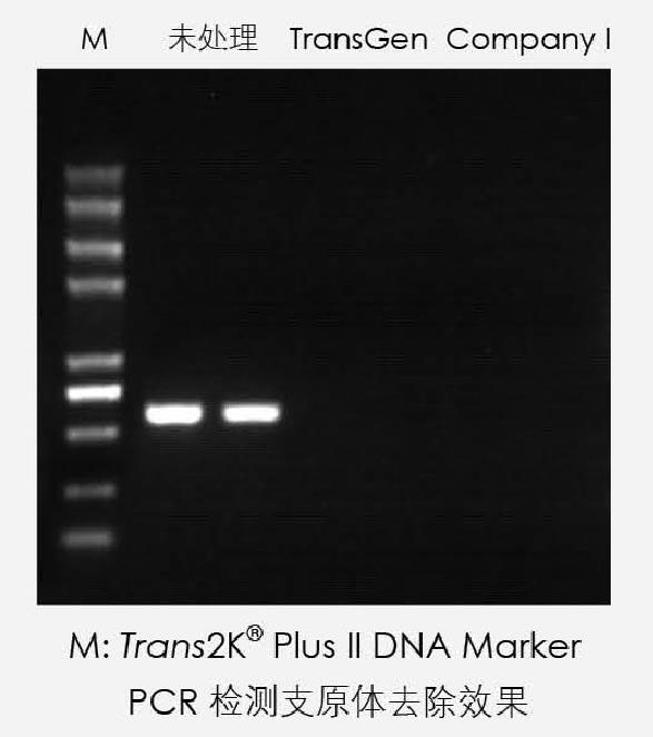 【逛展會(huì)零距離】“渝”您共赴中國(guó)細(xì)胞生物學(xué)學(xué)會(huì)2021年全國(guó)學(xué)術(shù)大會(huì)
