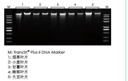 【展會零距離】2021全國植物生物學大會 【展會零距離】2021全國植物生物學大會