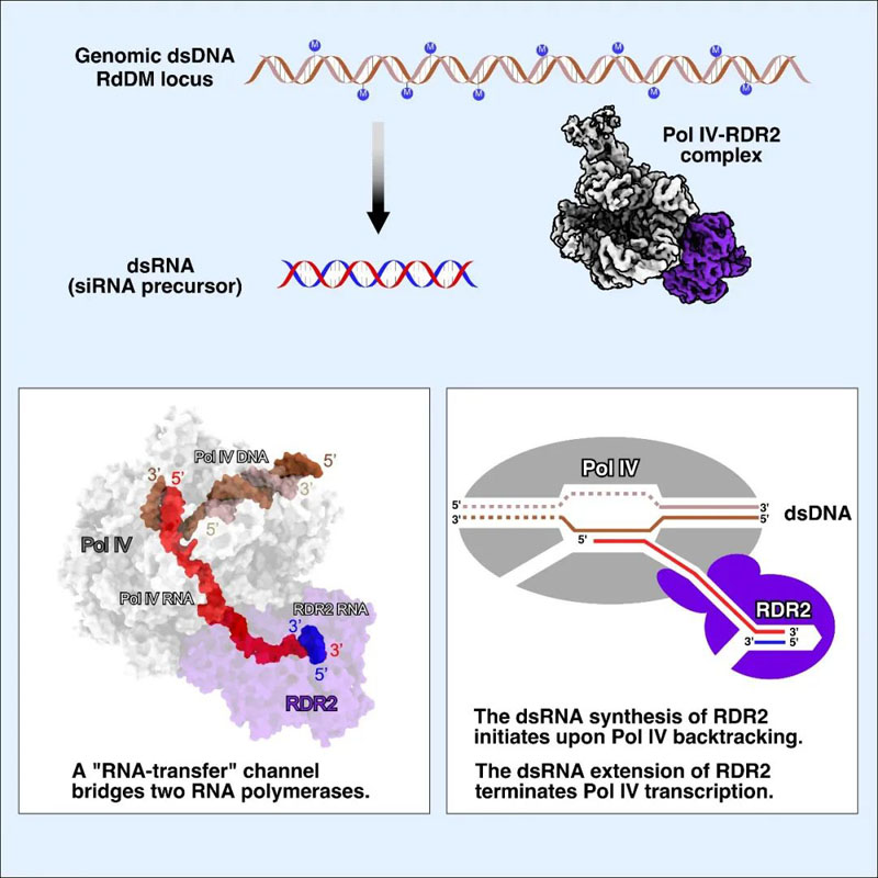 全式金產(chǎn)品再登《Science》雜志 全式金產(chǎn)品再登《Science》雜志