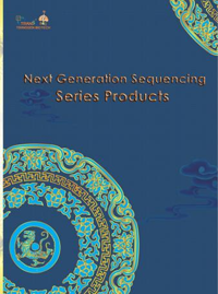 二代測序系列產(chǎn)品 二代測序系列產(chǎn)品