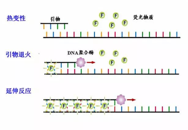 圖片3.png 圖片3.png