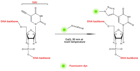 圖片2.png 圖片2.png