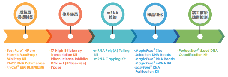 生物制品解決方案 生物制品解決方案