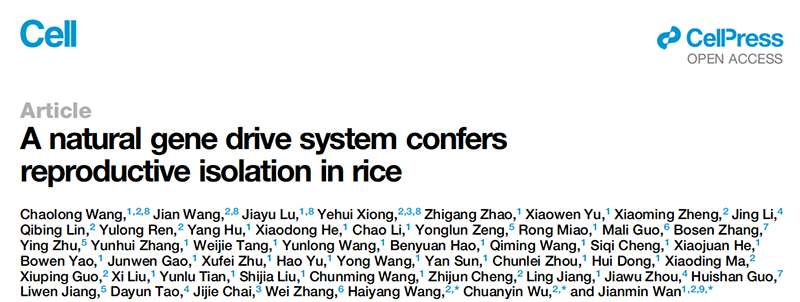 助力科研，全式金克隆感受態(tài)細(xì)胞CD501和表達(dá)感受態(tài)細(xì)胞CD801榮登Cell