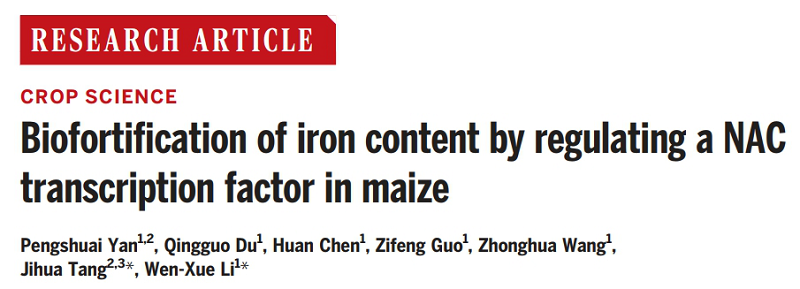 圖1調(diào)整后.png 圖1調(diào)整后.png