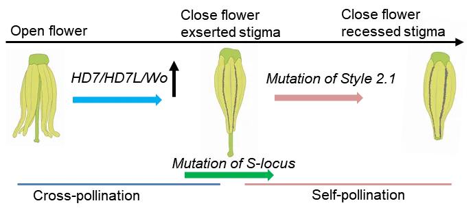 圖片3.png 圖片3.png