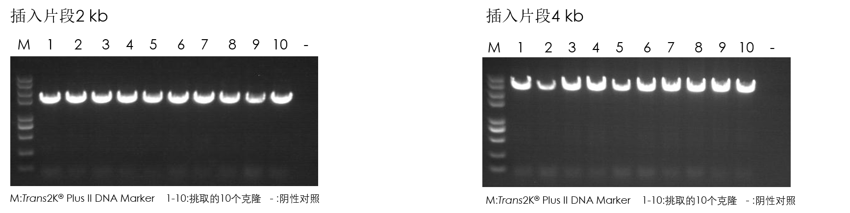 圖片2.png 圖片2.png