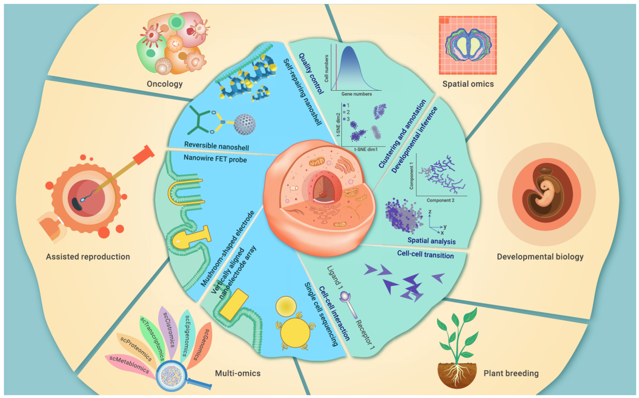 單細胞測序的應用 單細胞測序的應用