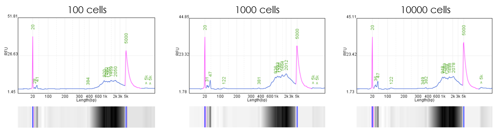 圖片3.png 圖片3.png