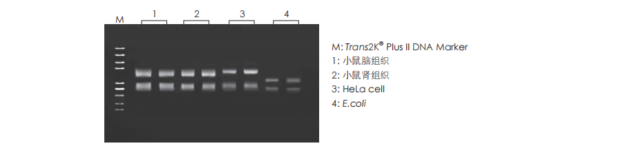 數(shù)據(jù)展示 數(shù)據(jù)展示