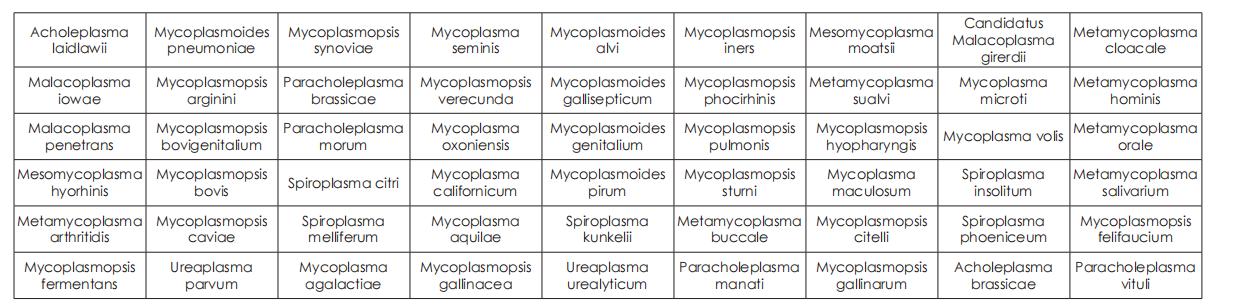 可檢測 54 種支原體 可檢測 54 種支原體