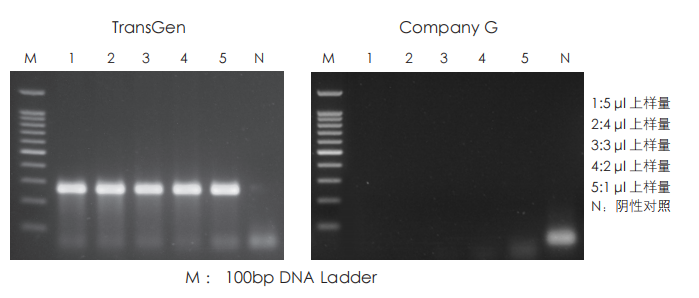 抗抑制性強 抗抑制性強