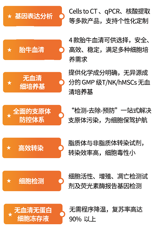 細胞水平藥物篩選解決方案 細胞水平藥物篩選解決方案