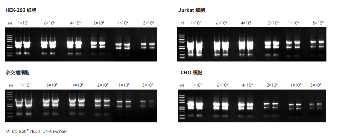 實驗數(shù)據(jù) 實驗數(shù)據(jù)