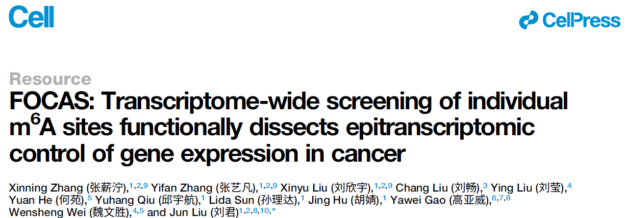 FOCAS: Transcriptome-wide screening of individual m6A sites functionally dissects epitranscriptomic control of gene expression in cancer FOCAS: Transcriptome-wide screening of individual m6A sites functionally dissects epitranscriptomic control of gene expression in cancer